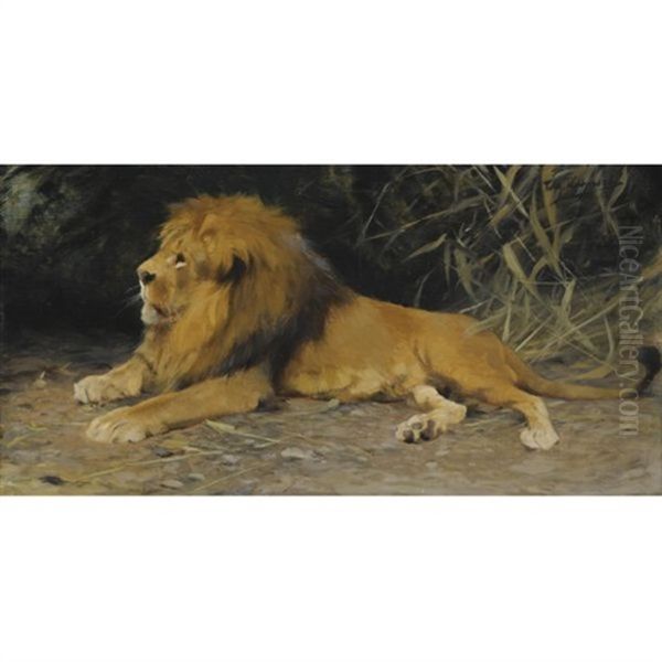 Lowe Im Versteck - Lion In His Den - view 1