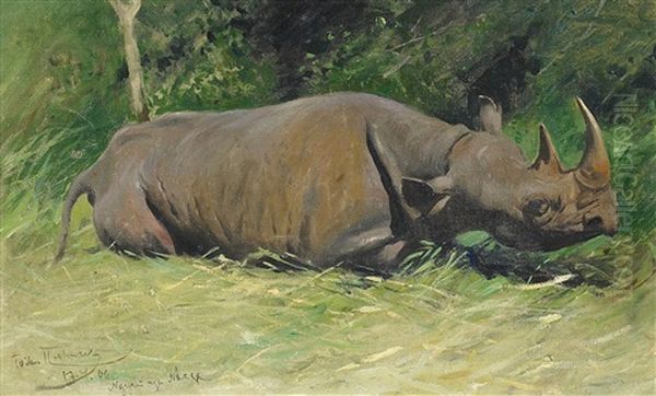 Nashorn - view 1