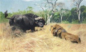 Buffalo And Lion Before The Fight by Wilhelm Friedrich Kuhnert