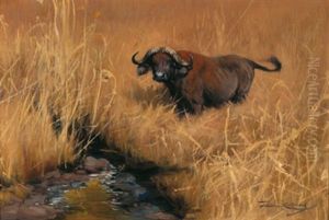 Ein Wasserbuffel An Einer Wasserstelle In Der Savanne