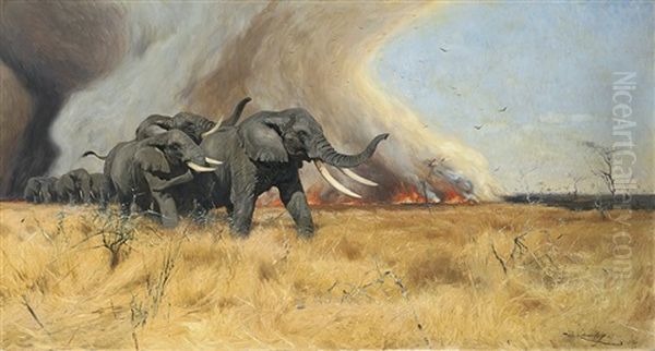 A Herd Of Elephants Fleeing From A Bush Fire - view 1