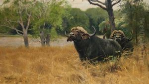 Deux Buffles Dans La Savane by Wilhelm Friedrich Kuhnert