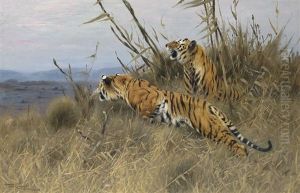 Tigers On The Prowl