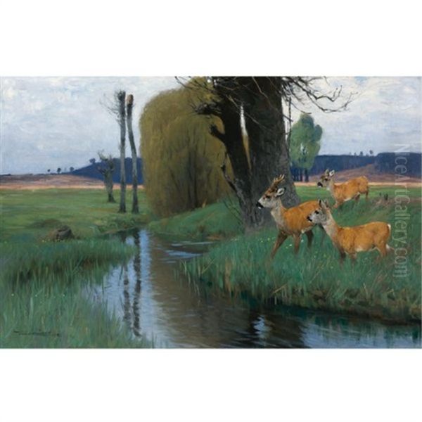 Deer At The Water's Edge - view 1