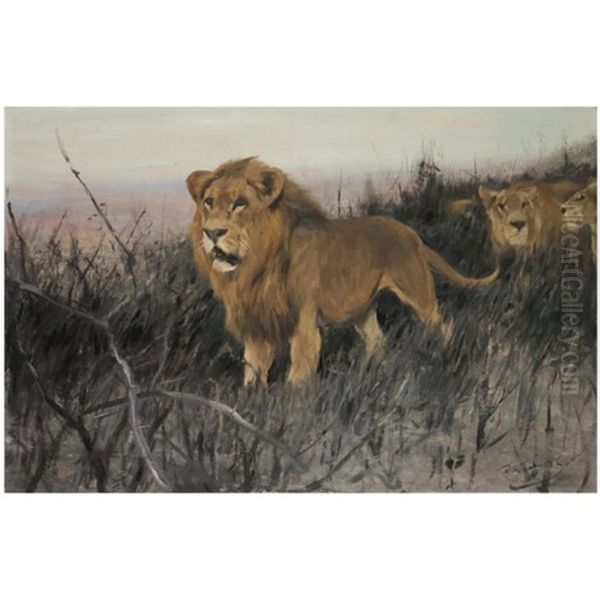 Lowen In Verbrannter Steppe (lions In A Burnt Steppe) - view 1