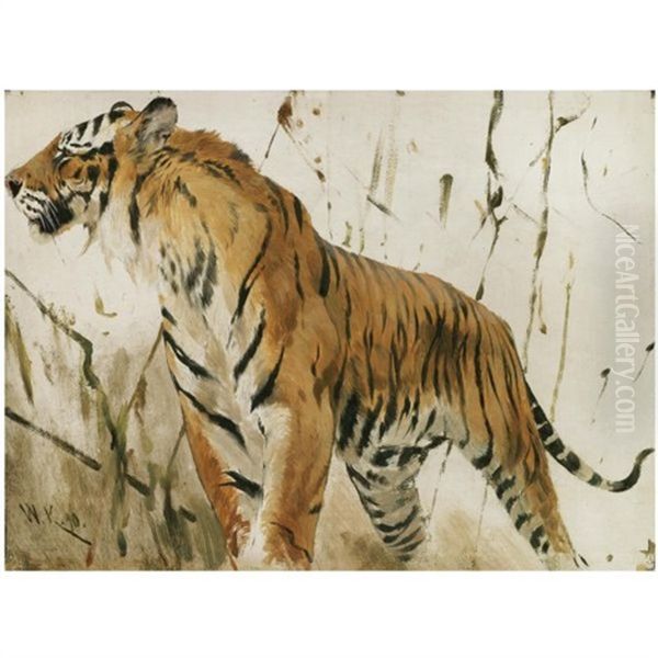 Study Of A Tiger - view 1
