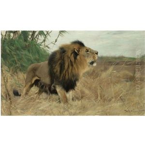 Beberlowe - Berber Lion (+ Sheet Of Pencil Sketches Of Lions, 2 Works) by Wilhelm Friedrich Kuhnert