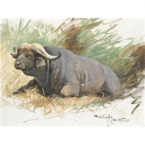 Studie Eines Kafferbuffels (study Of A Buffalo) by Wilhelm Friedrich Kuhnert