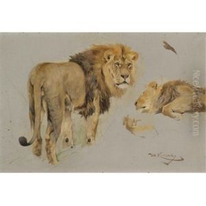 Lowenstudie (study Of Lions) by Wilhelm Friedrich Kuhnert