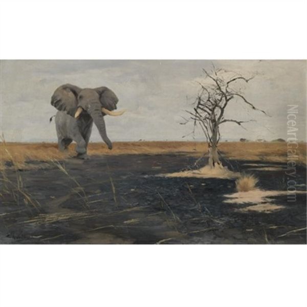 The Lone Elephant - view 1