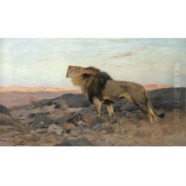 Brullender Lowe In Steiniger Steppe (a Roaring Lion) - view 1