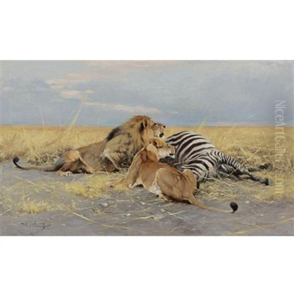 The Victim: Lions And Zebra - view 1