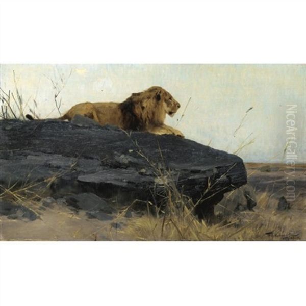 Lowe Auf Felsen (lion On A Rock) - view 1