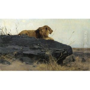 Lowe Auf Felsen (lion On A Rock)