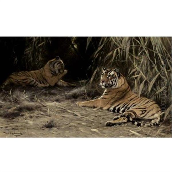 In The Jungle - Tigers - view 1