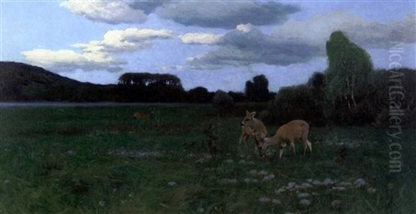Summer Evening - view 1