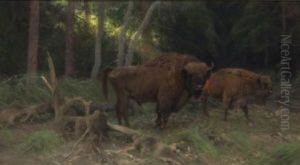 Zwei Wisents Im Wald by Wilhelm Friedrich Kuhnert