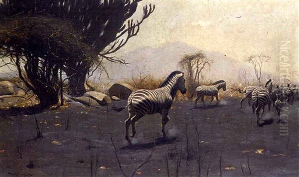 Zebra - view 1