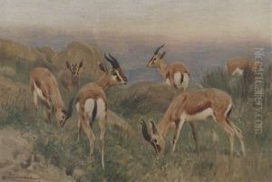 Gazella Dorca: Gazelles On A Hilltop thumbnail