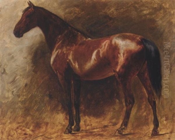 A Chestnut Stallion - view 1
