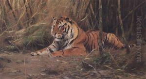 The Watchful Tiger by Wilhelm Friedrich Kuhnert