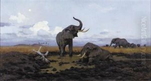 In The Twilight, Elephants by Wilhelm Friedrich Kuhnert