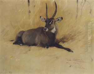 A Common Waterbuck by Wilhelm Friedrich Kuhnert