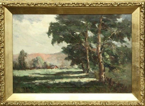 Shaded Country Landscape - view 1