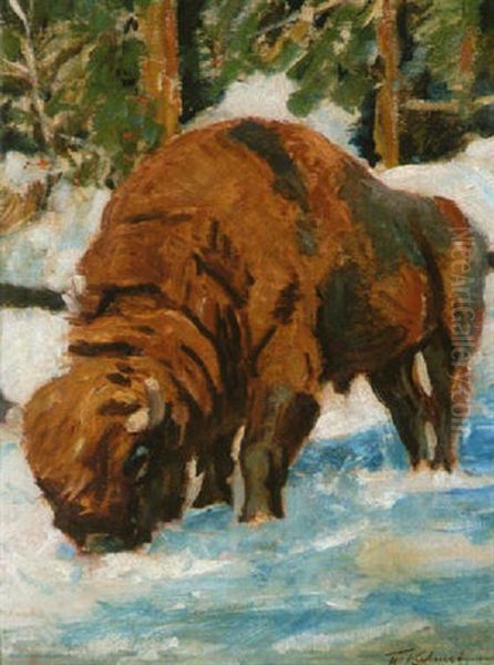 Wisent Im Schnee - view 1