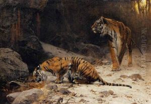 Tigers At A Drinking Pool