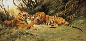 Tigers Resting In Tall Grass