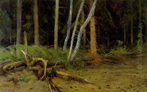 Umgesturzter Baumstamm Im Urwald Von Bialowies/russland