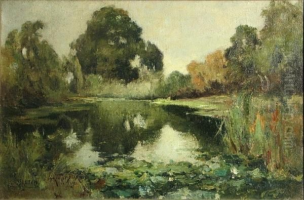 The Secluded Pond - view 1