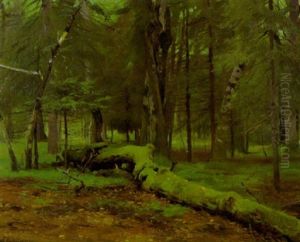 Landschaft In Bialowies