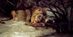 Lion Reclining In A Landscape Lion Reclining In A Landscape