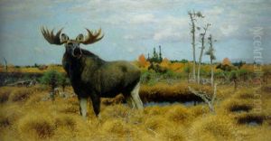 Elks In A Marsh Landscape