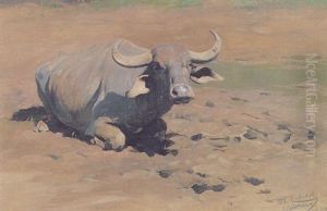 Buffalo Resting by Wilhelm Friedrich Kuhnert