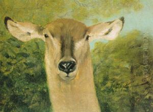 Head Of An Antelope by Wilhelm Friedrich Kuhnert