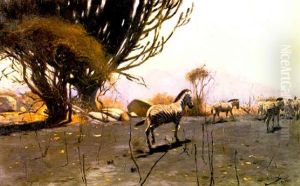 A Herd Of Zebras