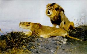 "brullende Lowen" by Wilhelm Friedrich Kuhnert