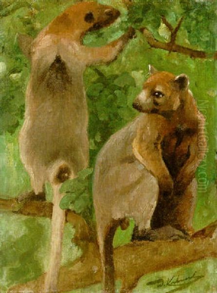 Tree Kangaroos - view 1