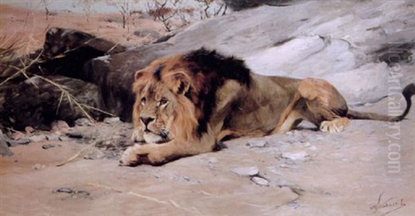 Lion Reclining In A Rocky Landscape - view 1