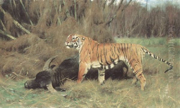 A Tiger With Its Prey - view 1