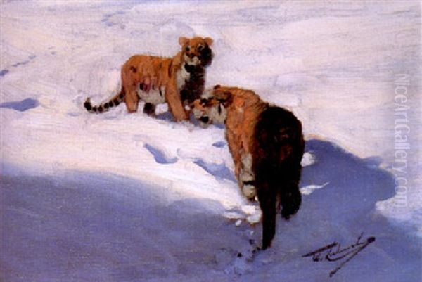 Siberian Tigers In The Snow - view 1