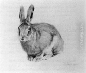 Hare by Wilhelm Friedrich Kuhnert