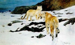 Tigers In The Snow