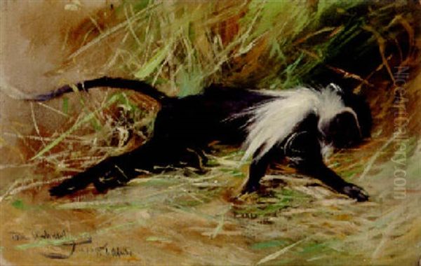 A Sleeping Monkey - view 1