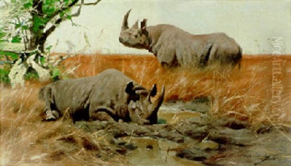 Two Rhinoceroses - view 1