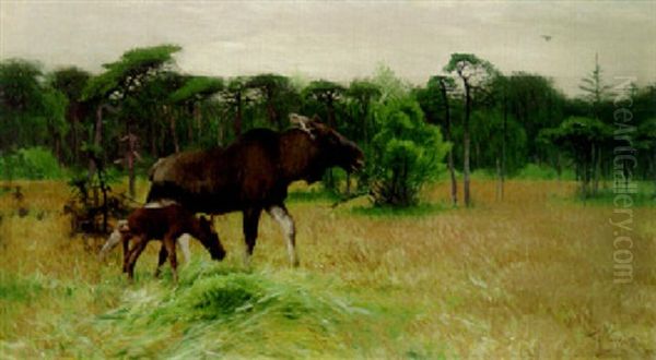A Moose And Her Calf - view 1