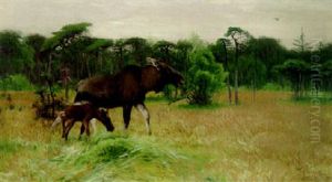 A Moose And Her Calf